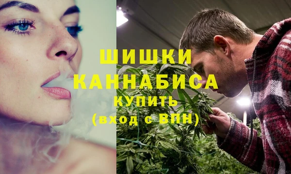 бутират Белокуриха
